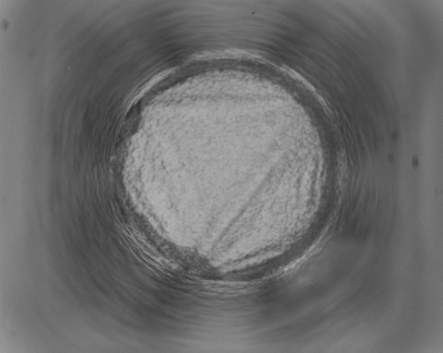 X0000081620921200702121636
