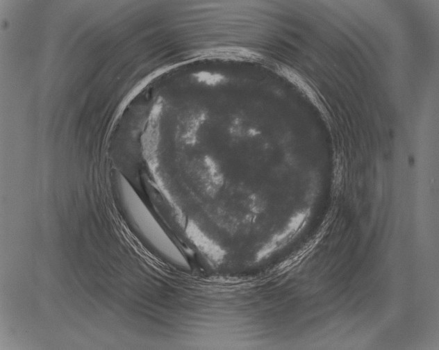 X0000081620923200702121636