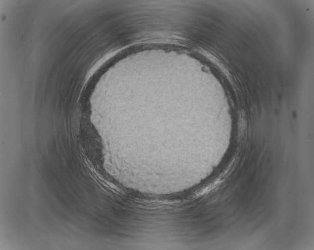 X0000081620925200702121636