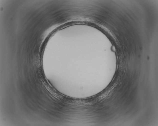 X0000081620927200702121636