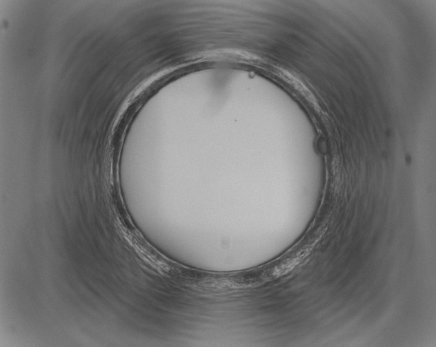 X0000081620931200702121636
