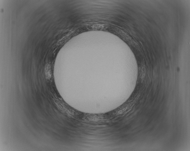 X0000081620962200702121636