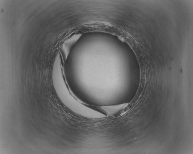 X0000081620965200702121636