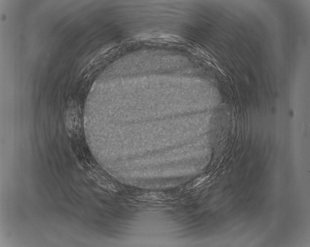 X0000081620966200702121635