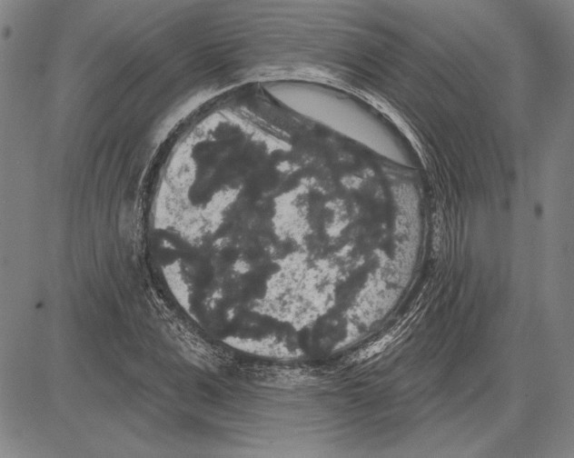 X0000081620975200702121635