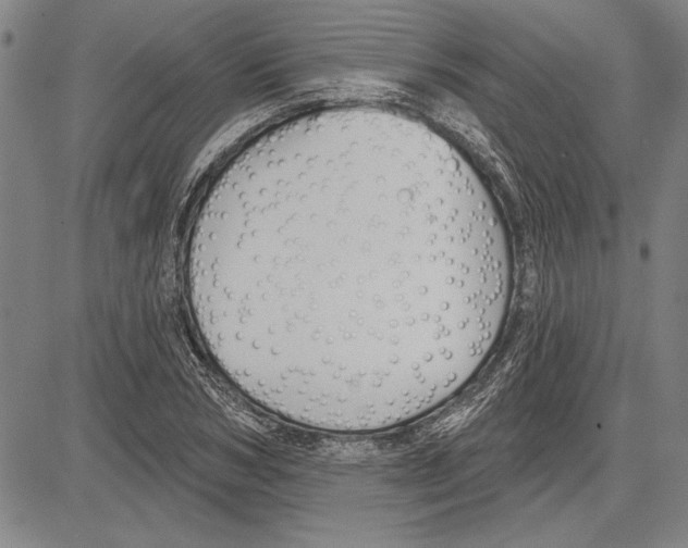 X0000081620978200702121635
