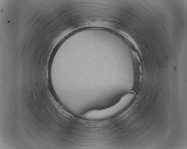 X0000081620980200702121635