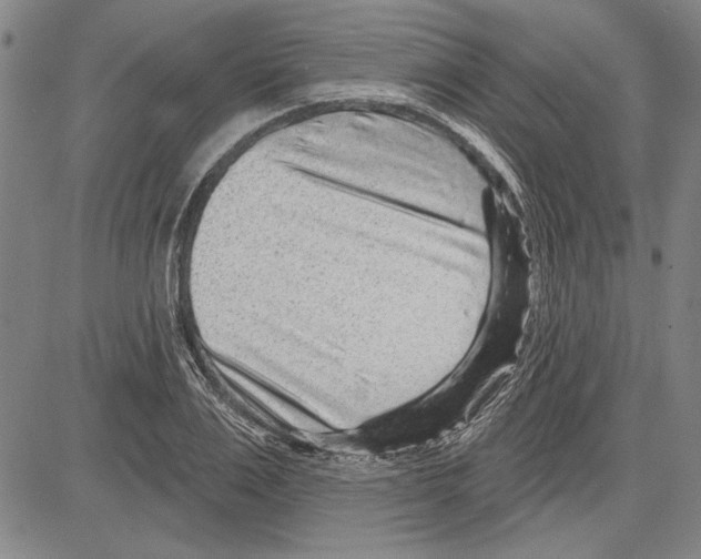 X0000081620983200702121635
