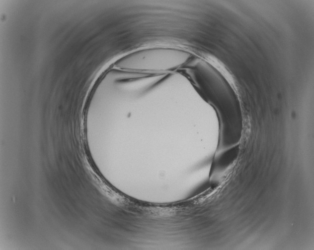X0000081620996200702121635