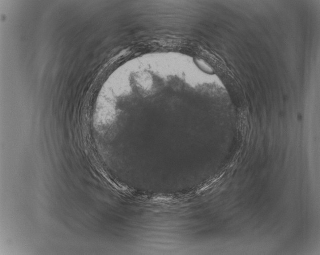 X0000081621009200702121634