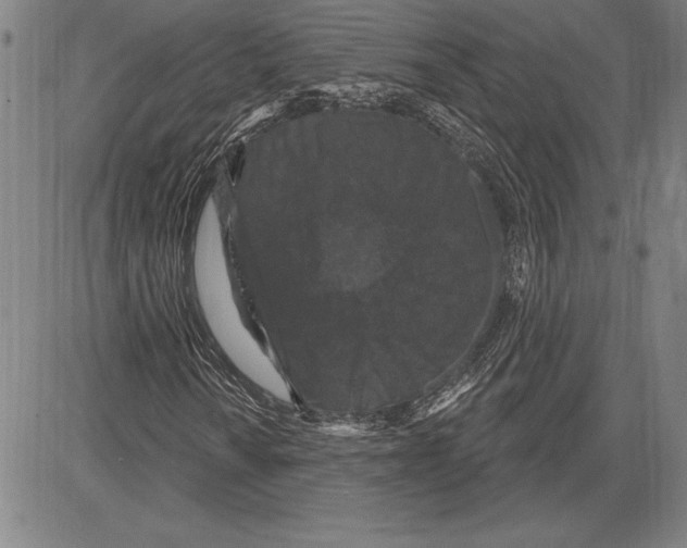 X0000081621010200702121634