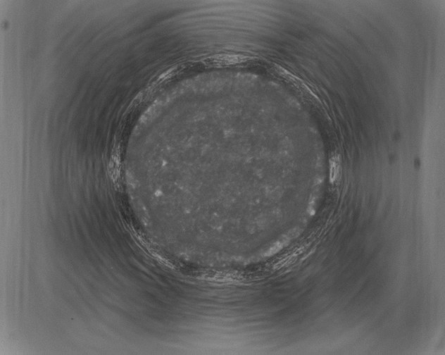 X0000081621011200702121634