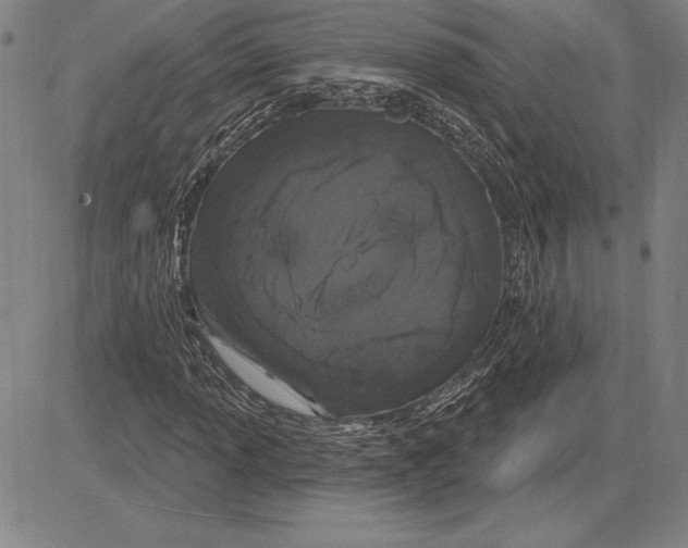 X0000081621013200702121634