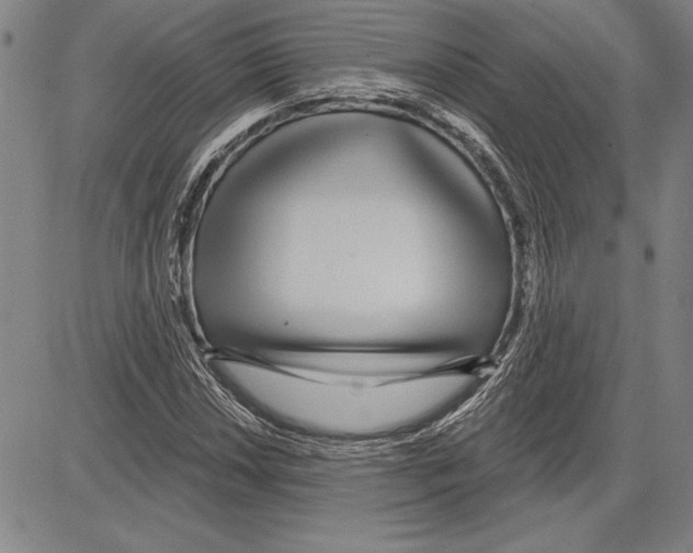 X0000081621018200702121634