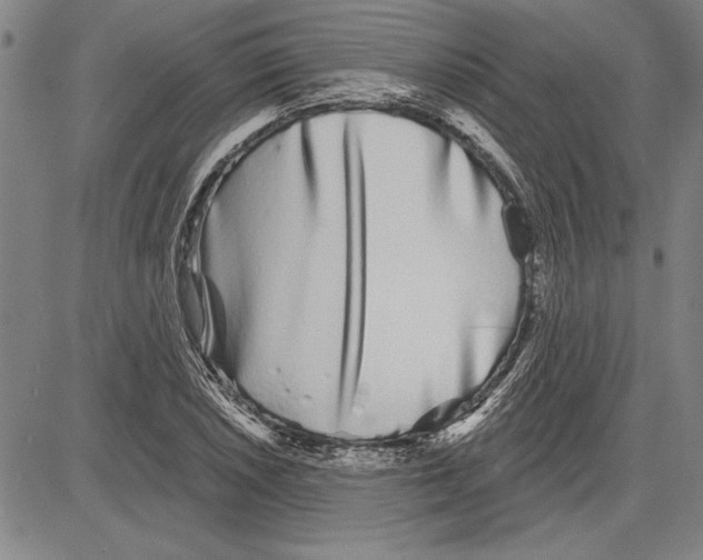 X0000081621026200702121634