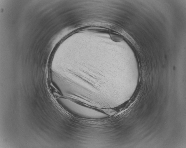 X0000081621028200702121634