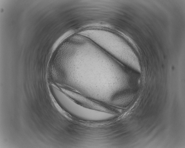 X0000081621042200702121635
