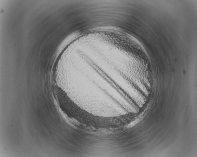 X0000081621050200702121635