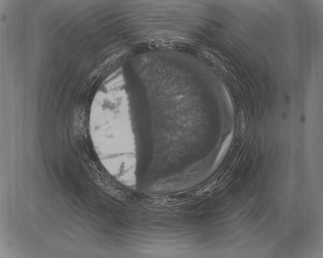 X0000081621060200702121634