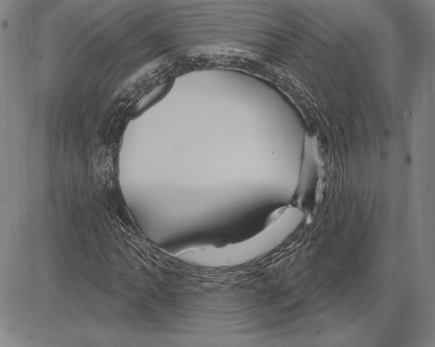 X0000081621062200702121634