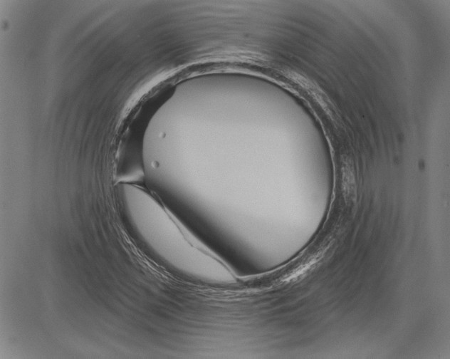 X0000081621069200702121634