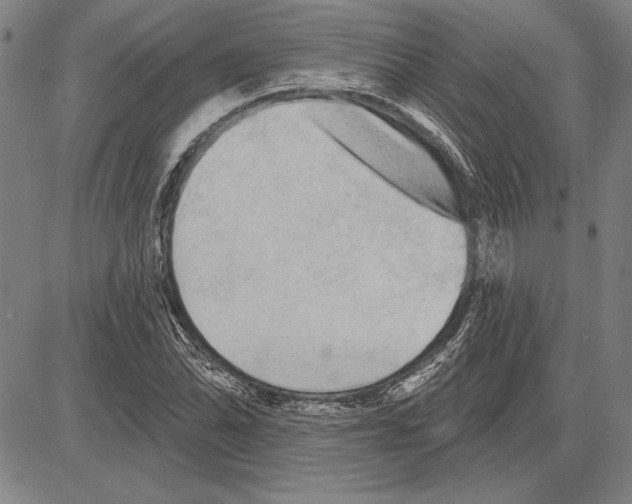 X0000081621070200702121634