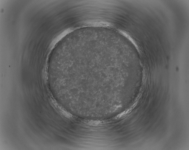 X0000081621071200702121634