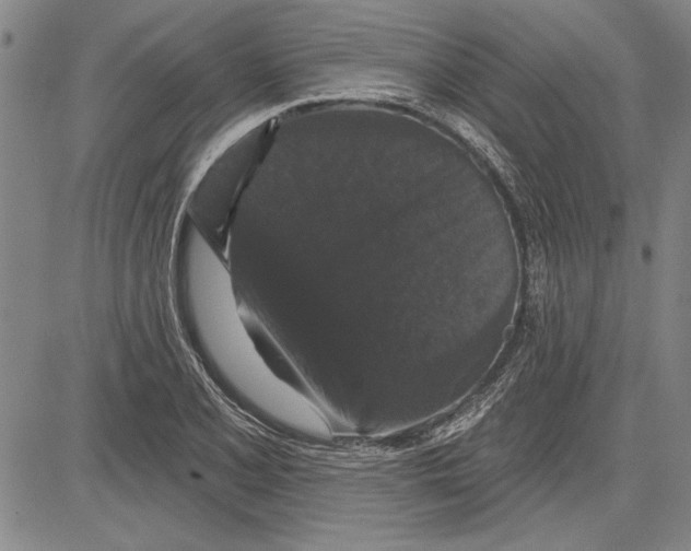 X0000081621077200702121634