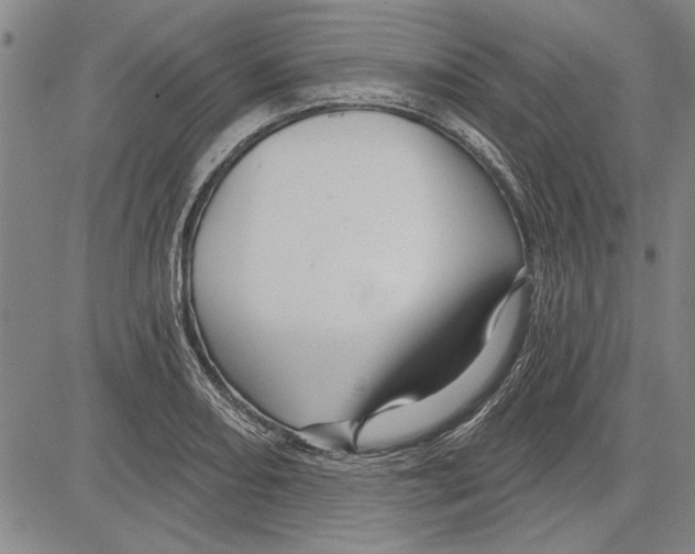 X0000081621082200702121634