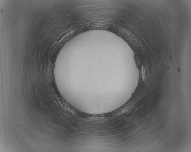 X0000081621107200702121632