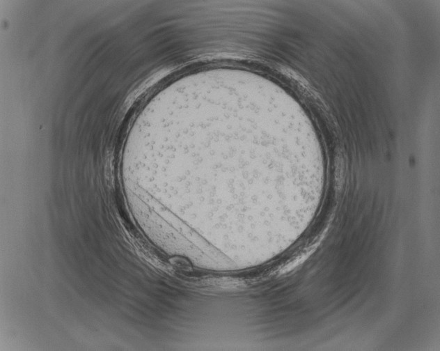 X0000081621113200702121633
