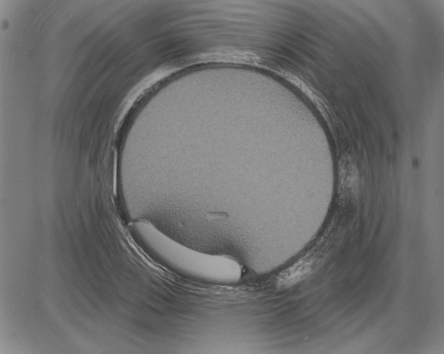 X0000081621123200702121633