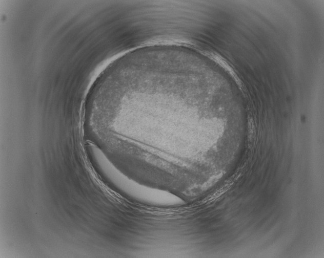 X0000081621124200702121633