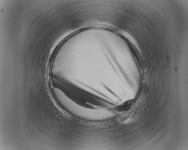 X0000081621128200702121633