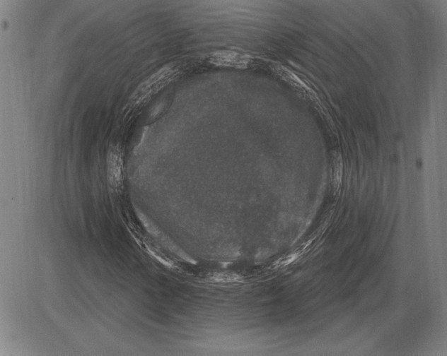 X0000081621154200702121632
