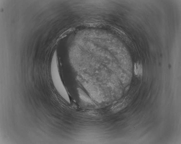 X0000081621155200702121632
