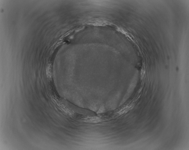X0000081621156200702121632