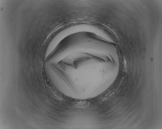 X0000081621160200702121632