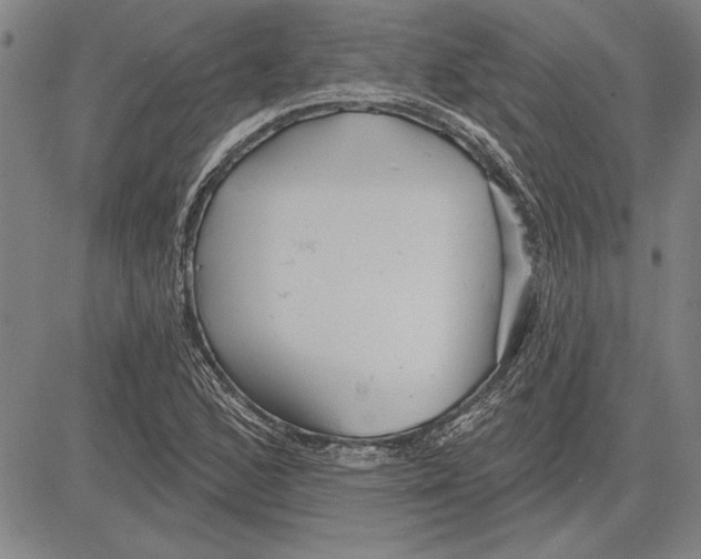 X0000081621168200702121632