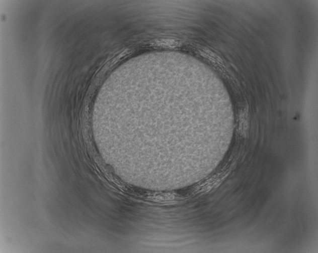 X0000081621201200702121631