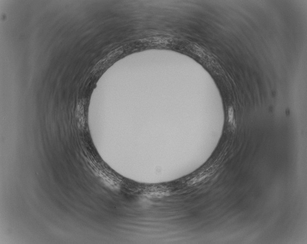 X0000081621203200702121631