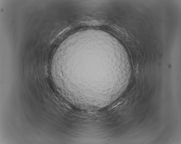 X0000081621205200702121631