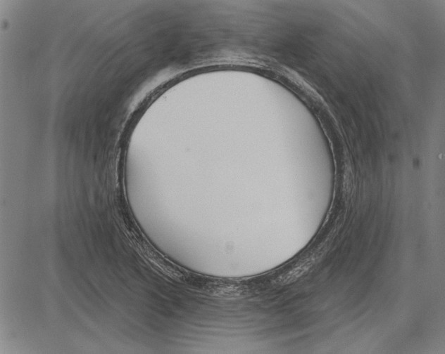 X0000081621222200702121631