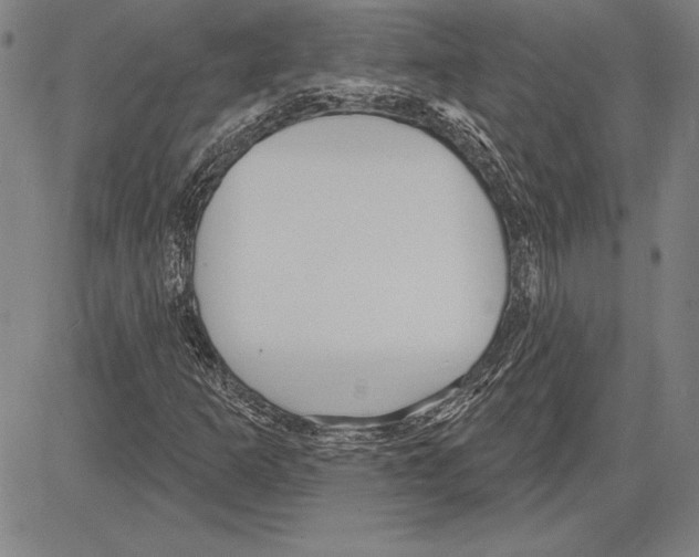 X0000081621253200702121631