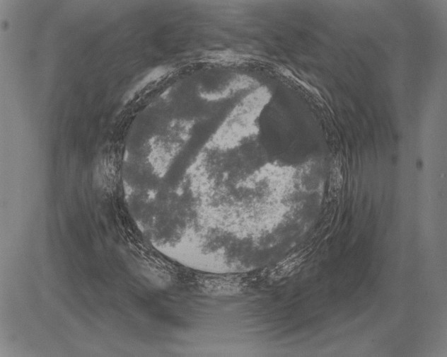 X0000081621254200702121631