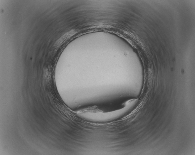 X0000081621257200702121631