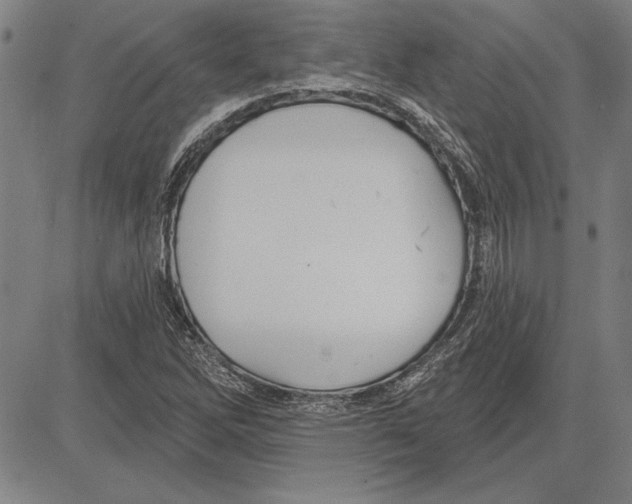 X0000081621262200702121631