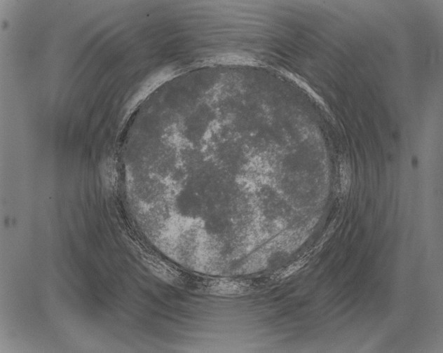 X0000081621266200702121631