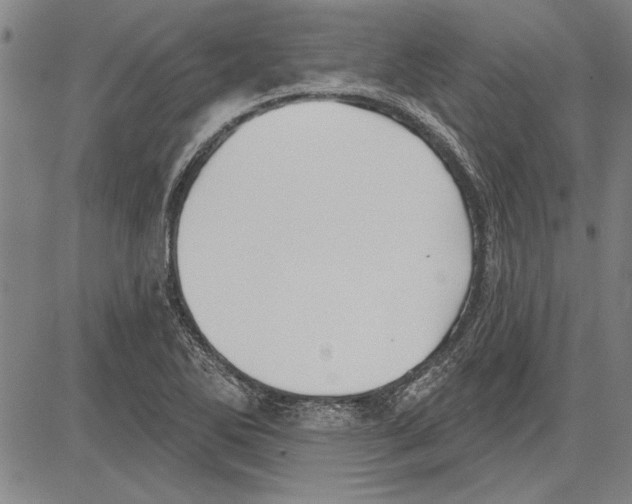 X0000081621270200702121631