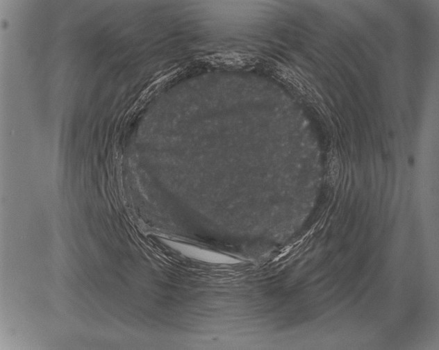 X0000081621297200702121629